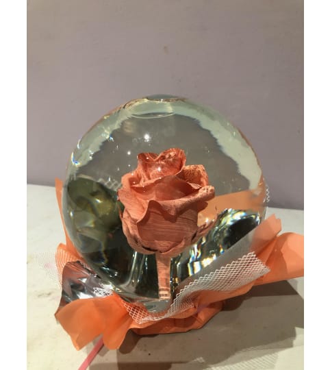 Eternity Peach Rose Globe