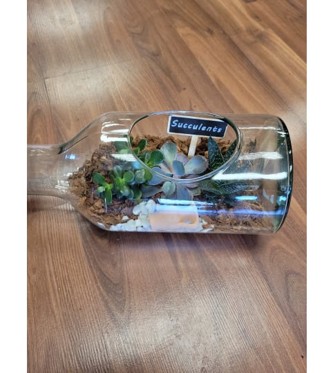 Succulent in bottle