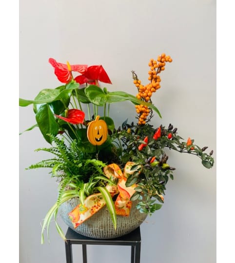 XL Modern Ceramic Fall Planter. An arrangement by Marianna's Flower Island.
