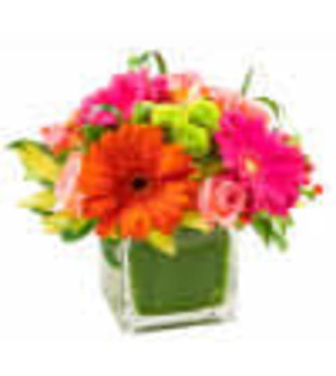Heartfelt Hurrah. An arrangement by Tallevast Florist.