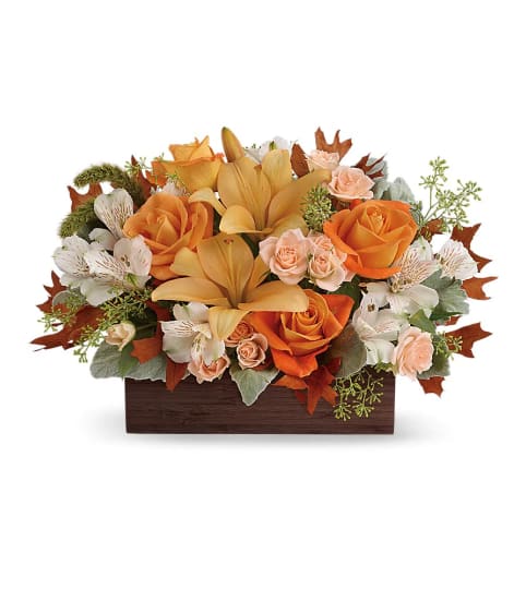 Teleflora's Fall Chic Arrangment