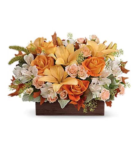 Teleflora's Fall Chic Arrangment. An arrangement by Triple A Florist.