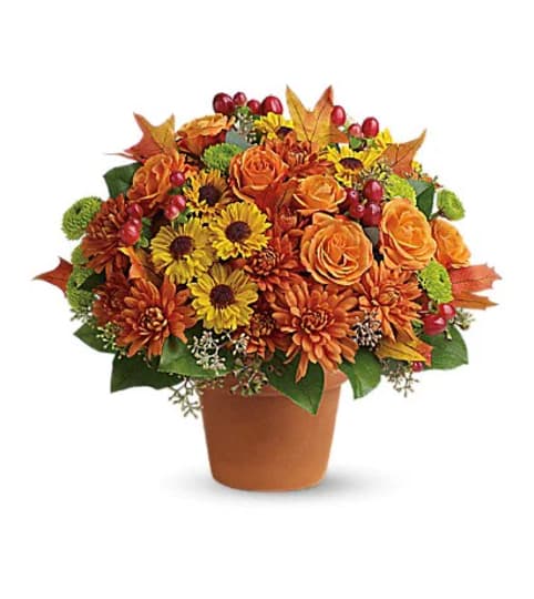Sugar Maples Flower Arrangement. An arrangement by Triple A Florist.