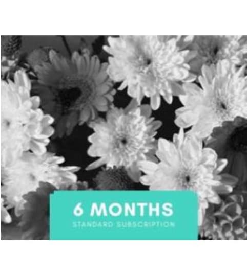 Subscription Florals - Small Wrapped Bouquets Package. An arrangement by Anderson Flowers.