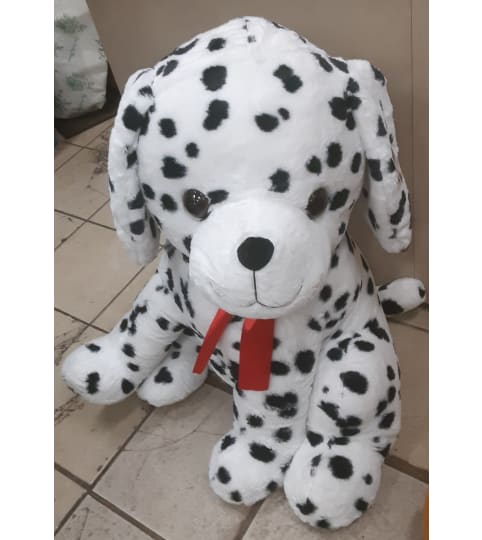 Large Dalmatian