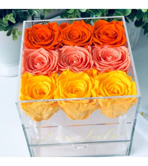 Acrylic Rose Box Mix