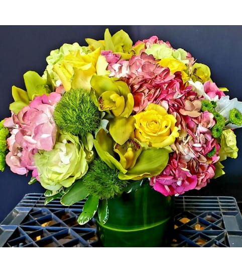 WOW-MAZING. An arrangement by Rosemar Flowers and Gifts.