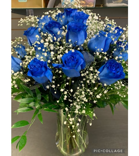 24 blue roses