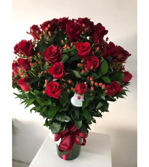 Two dozen red deluxe roses