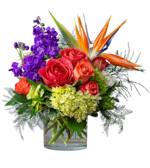 Sunrise in the Tropics. An arrangement by Deer Valley Florist and Flower Delivery.