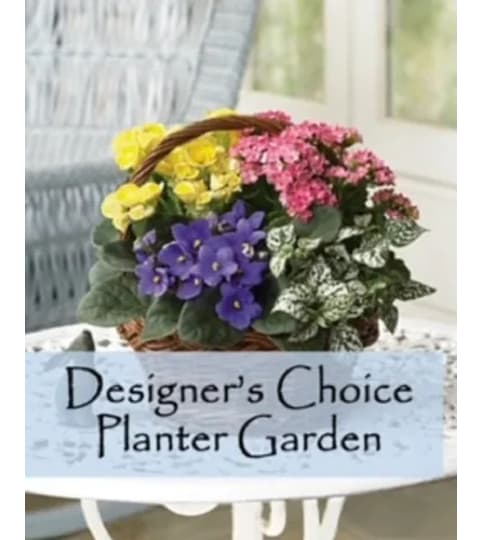 Our Designer's Choice Planter Garden