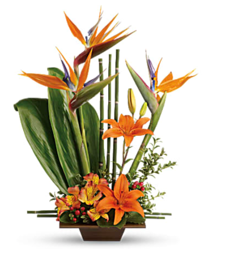 Elegant Exotic Grace. An arrangement by Elegant Florist.