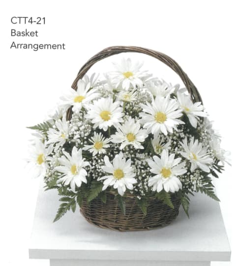 Daisy Basket Arrangement CTT4-21