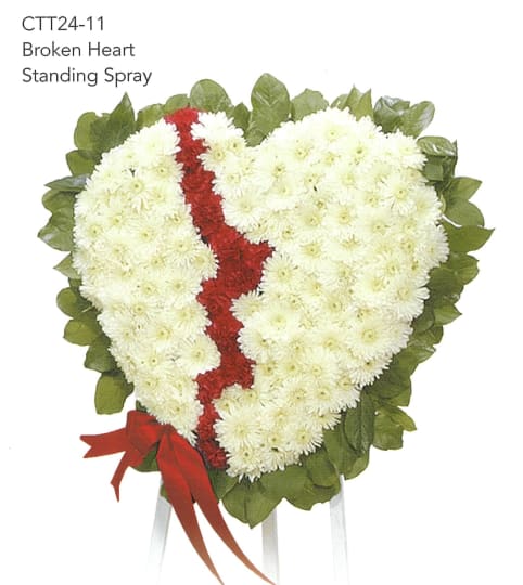 Broken Heart(Ctt24-11)