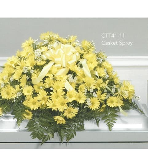 Yellow Casket Spray(Ctt41-11)