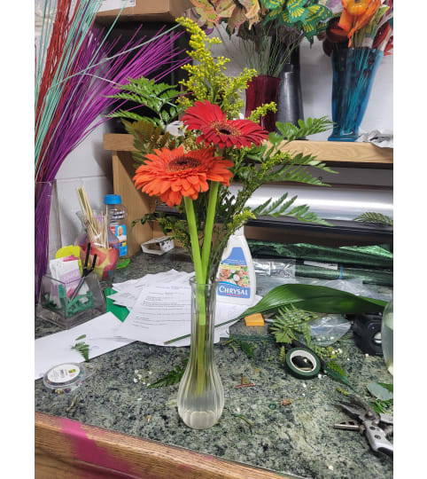 gerberas special. An arrangement by Jane's Floral Dreams.