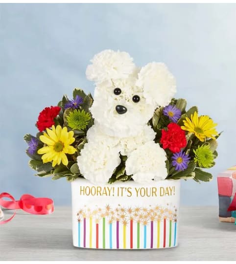 ITS YOUR PARTY POOCH. An arrangement by J.D. Ballantine's Flowers and Gifts.