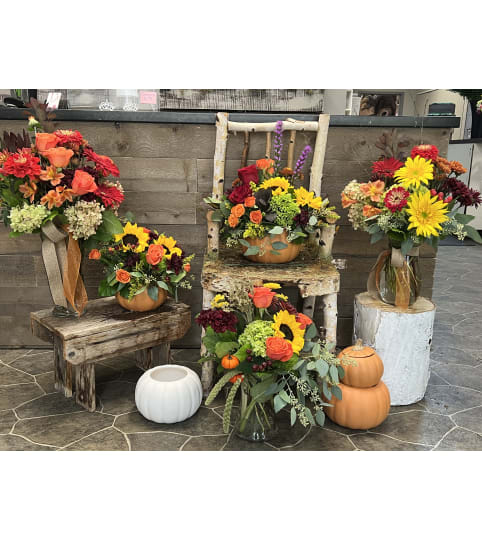 Donato's Floral Fall Selection. An arrangement by Donato's Floral.