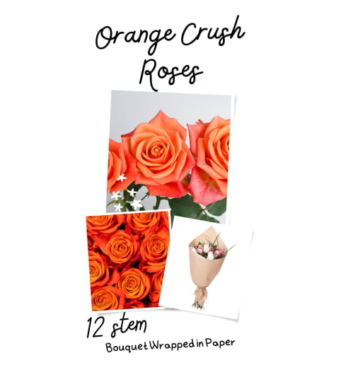 Orange Crush Roses Wrapped (No Vase)