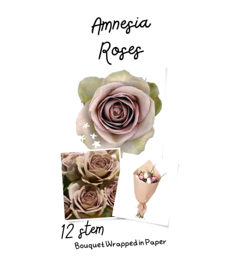 Amnesia Roses wrapped (No Vase)