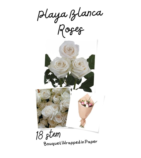 Playa Blanca (White) Roses Wrapped (12/18 or 24). An arrangement by Anderson Flowers.