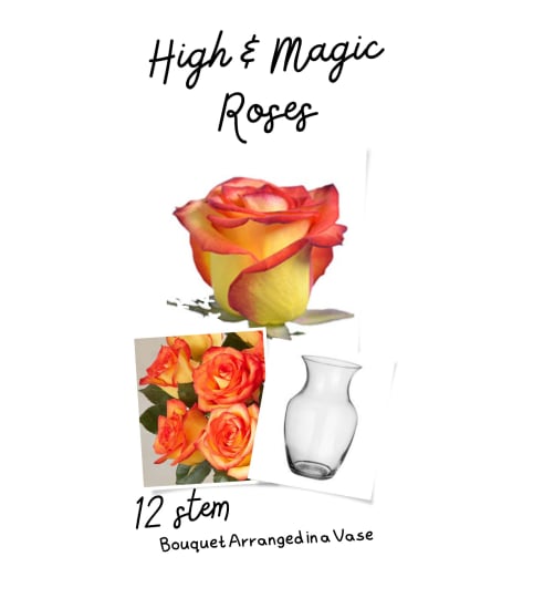 High and Magic Roses Arranged in a Vase. An arrangement by Lori's Hearts and Flowers.