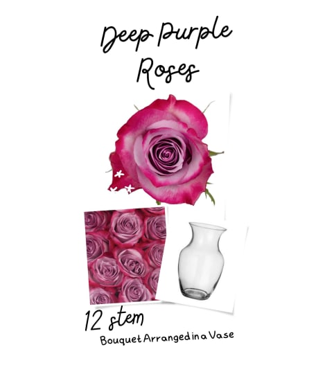 Deep Purple Roses Arranged in a Vase (12/18/24)