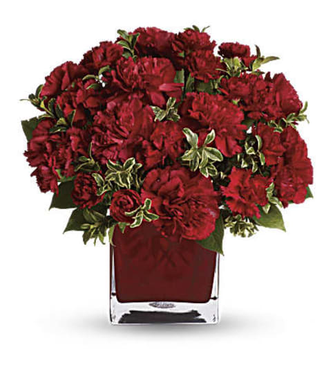 Season's Cheer. An arrangement by L and J Blooms.