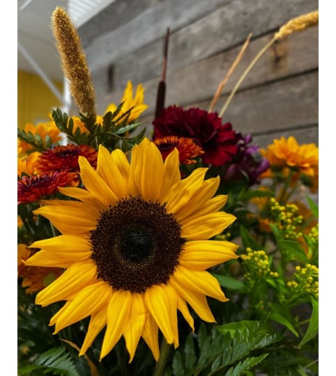 Designers Choice - Hearty Fall. An arrangement by The Farm and Floral Market.