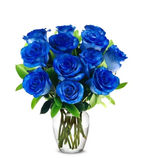 12 Classic Blue Roses
