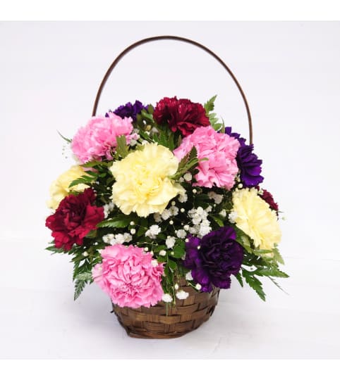 Carnation basket