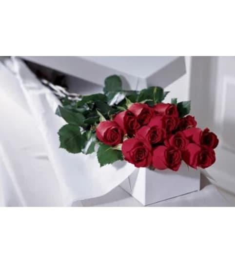 12 Red Roses in Gift Box