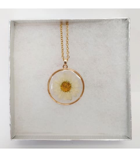 Real Pressed Daisy Necklace