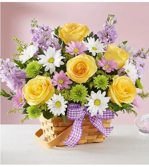 Spring - 00123