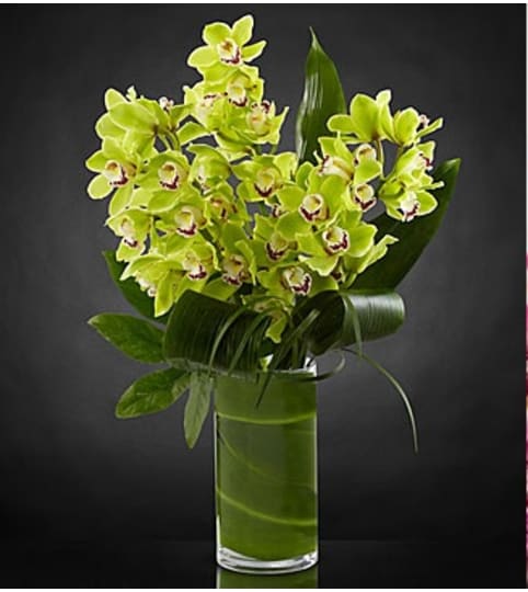 LUXURY ORCHIDS - GREEN. An arrangement by Triple A Florist.
