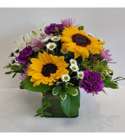 Sunflower square. An arrangement by Flower Trends Florists.