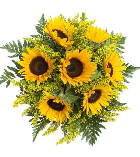 Sunshine Love Gift. An arrangement by Triple A Florist.