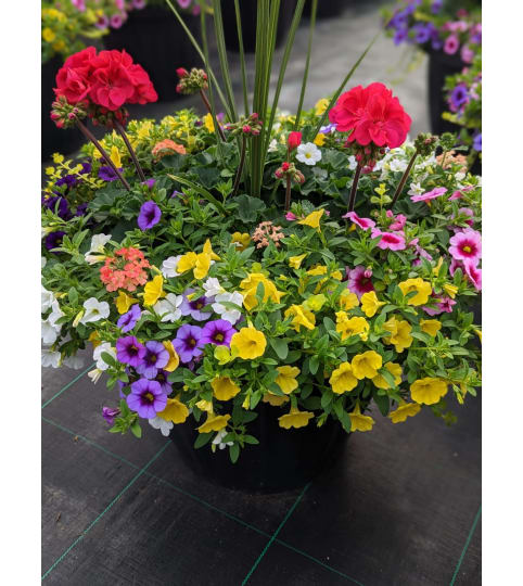 Outdoor Blooming Planter