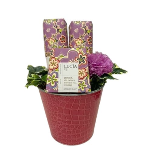 Soothing Days Gift Basket