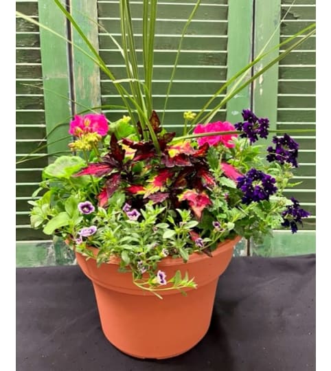 Outdoor Patio Pot--English Garden