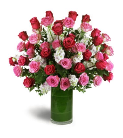 Mamaroneck Opulent Roses. An arrangement by Mamaroneck Flowers.