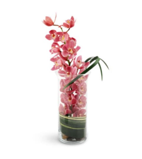 Mamaroneck Peaceful Pink Orchids. An arrangement by Mamaroneck Flowers.
