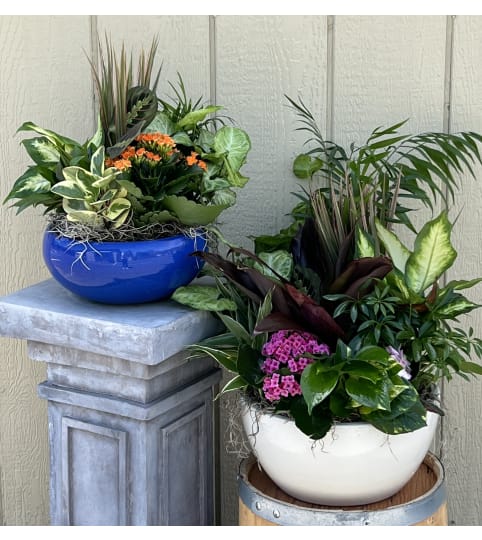 Lush ceramic dishgardens. An arrangement by Blooming Boutique Florist.