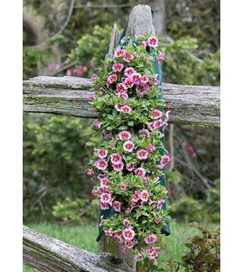 Country Hanging Bag Floral Arrangement