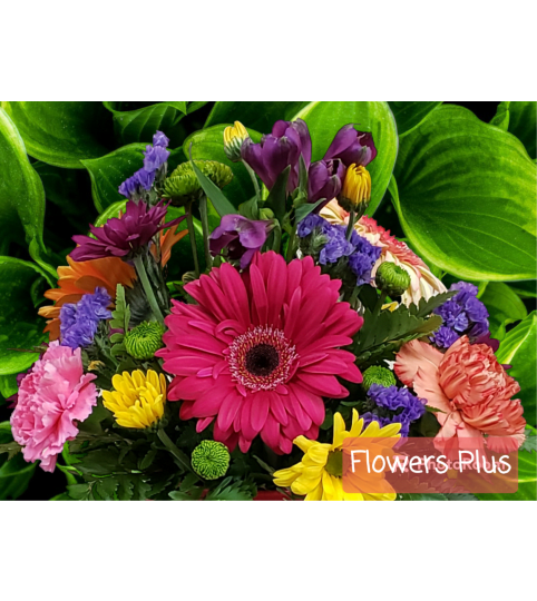 Florist Choice Wrapped Seasonal Bouquet. An arrangement by Flowers Plus.