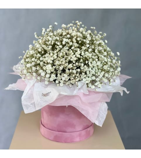 Hat box of Baby's Breath