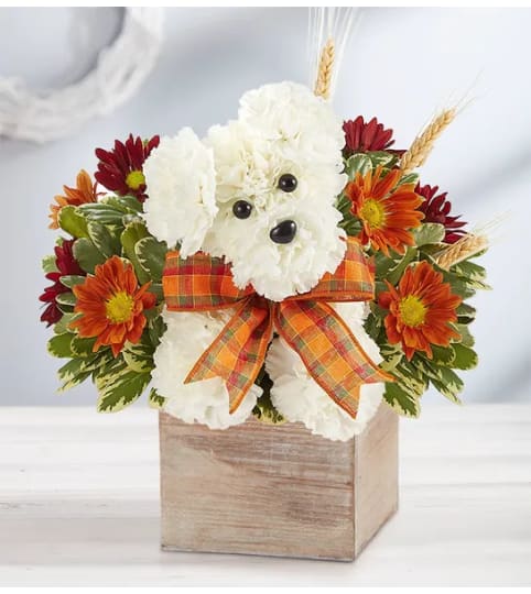 a-DOG-able for Fall in a Rustic Cube