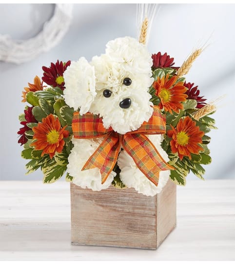The Fall Dog. An arrangement by Fletcher Heights Florist.