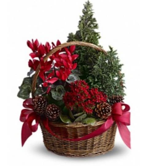 Holiday Blooming Basket