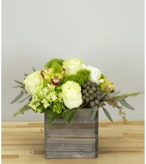 English Orchid Garden by Twigs. An arrangement by Twigs Flower Company.